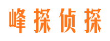 宁安寻人公司